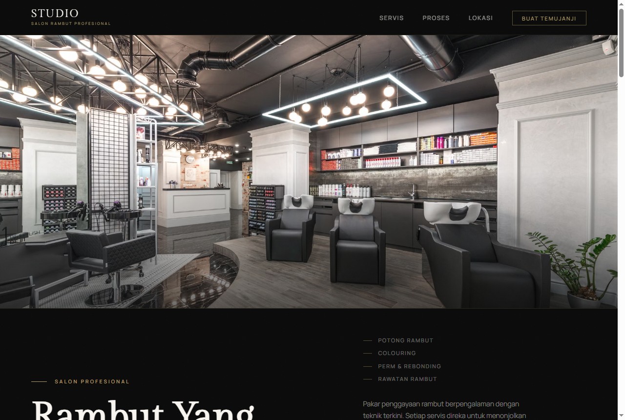 Salon concept website